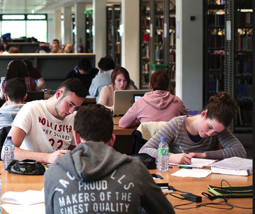 Students working in the library